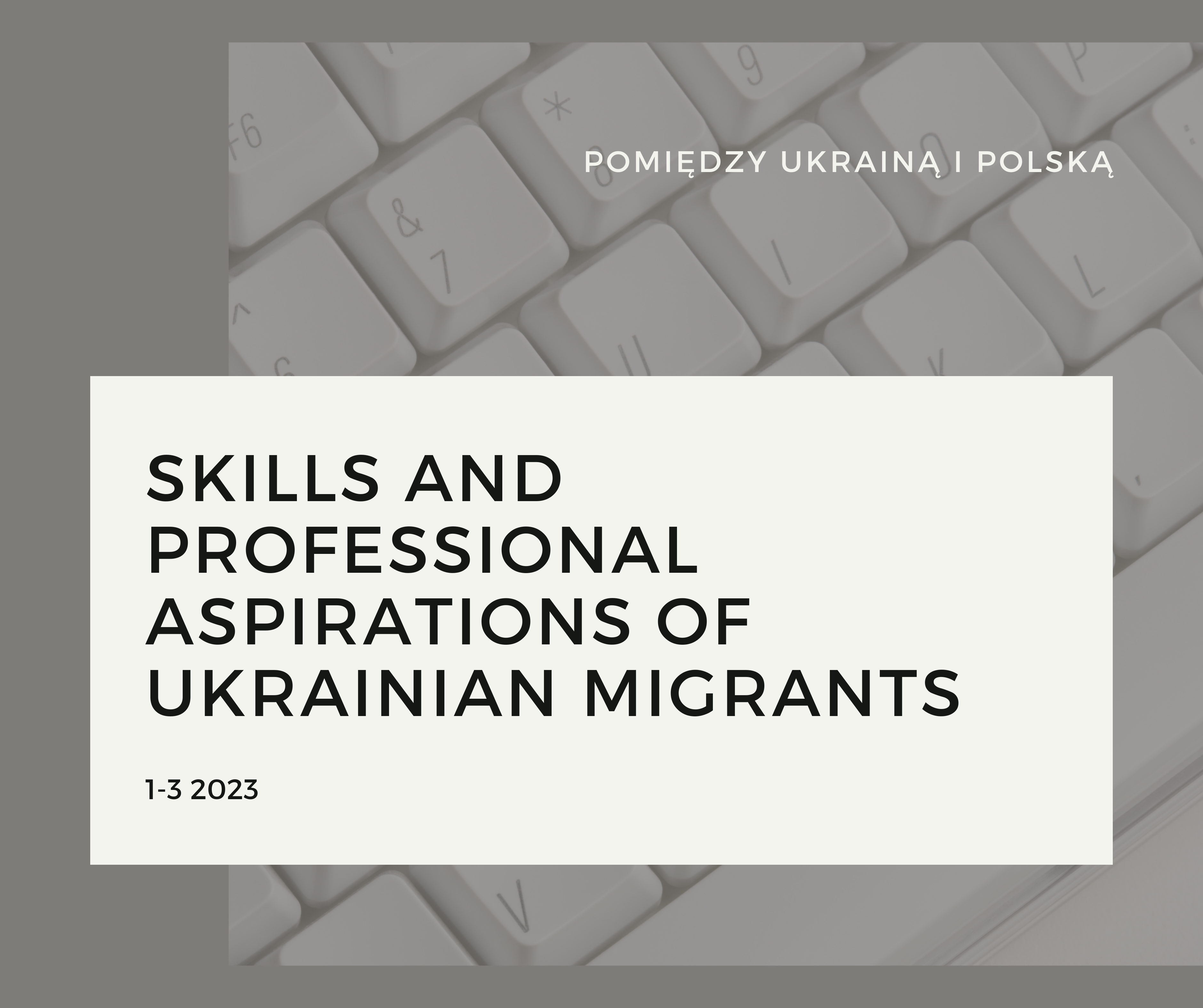 Skills and Professional Aspirations of Ukrainian Migrants