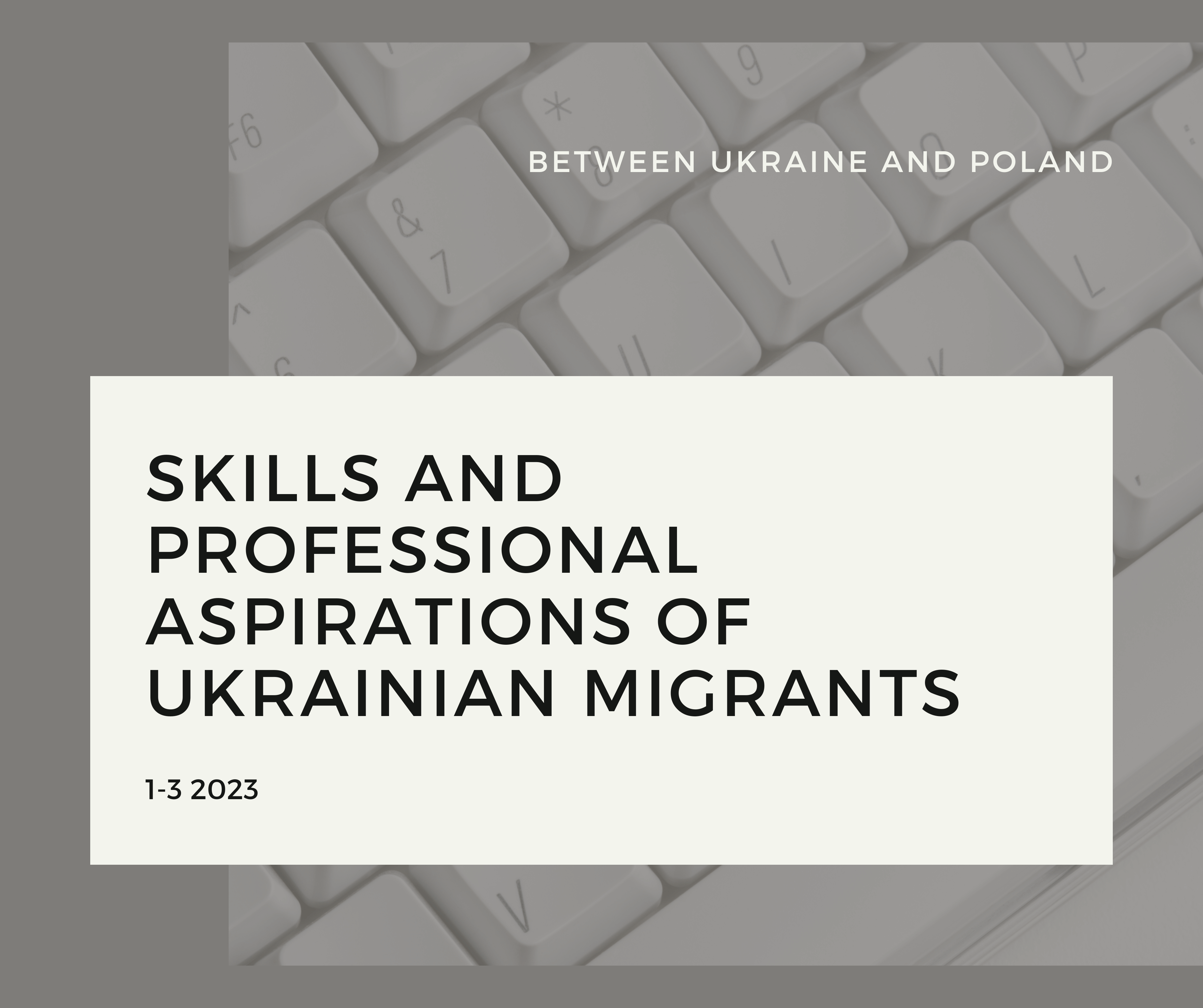 Skills and Professional Aspirations of Ukrainian Migrants